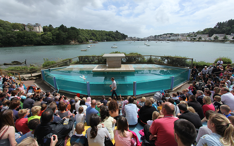 Aquashow Audierne - vol libre