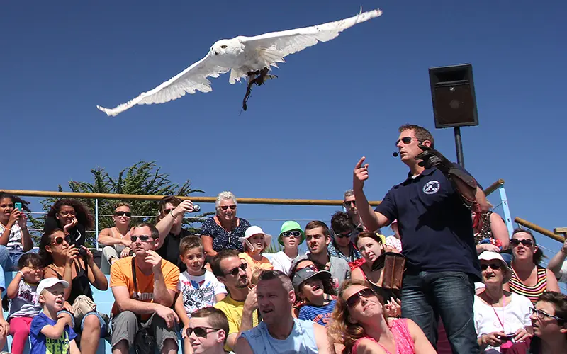 Aquashow Audierne - spectacle de vol libre